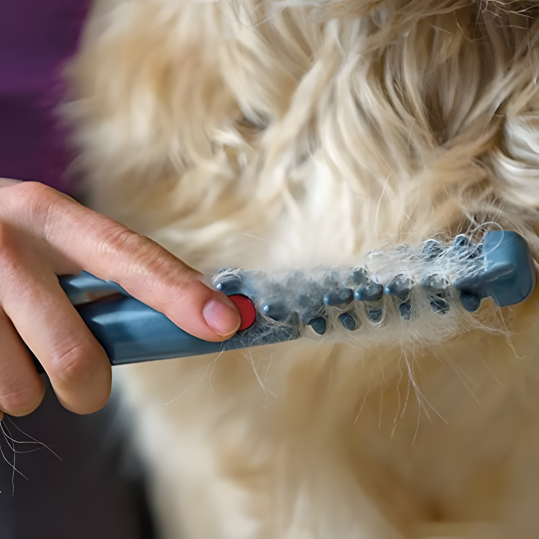 Fellona Tondeuse pour Animaux sans Nœuds | Toilettage sans douleur pour chiens et chats | Convient à tous les types de pelage